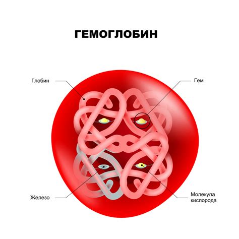 Гены и гемоглобин