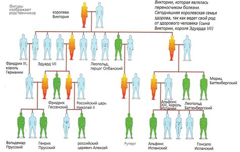 Гены могут переноситься сквозь поколения