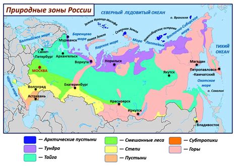 Географическое расположение и природные особенности Нидерландов