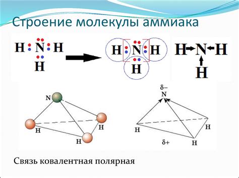 Геометрическая форма молекулы метана и аммиака