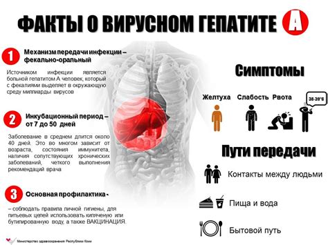 Гепатит во сне: предупреждение о возможной реальной патологии