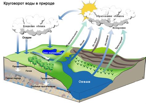 Гидрологический цикл