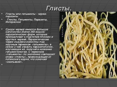 Глисты: что означает их присутствие в сновидении?