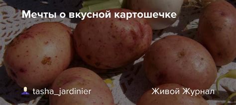 Глубокий смысл снов о ароматной картошечке и ароматных луковицах