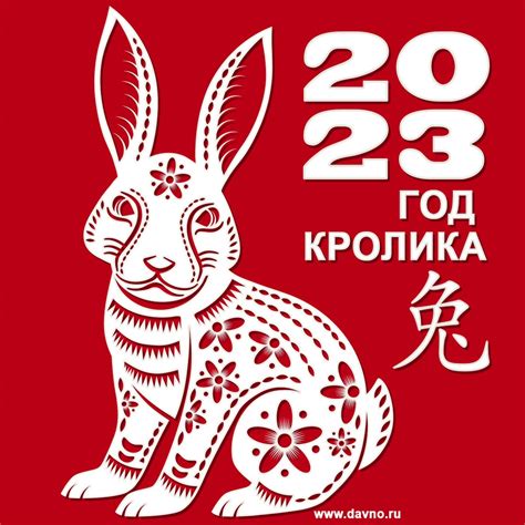 Год кролика 2023