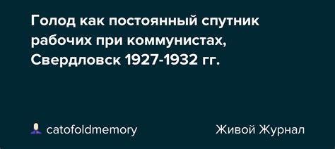 Голод как постоянный спутник: печальная часть жизни