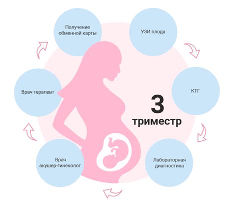 Горло в 3 триместре беременности: особенности и изменения