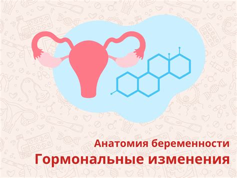 Гормональные изменения и менструация