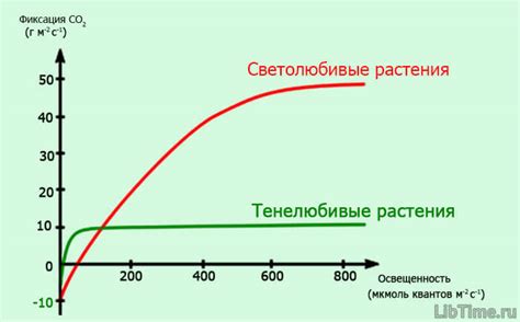 Горячая погода: влияние температуры на интенсивность потоотделения