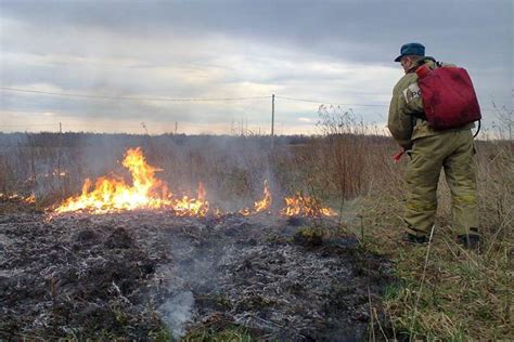 Горящая трава в сновидении: значения и образы