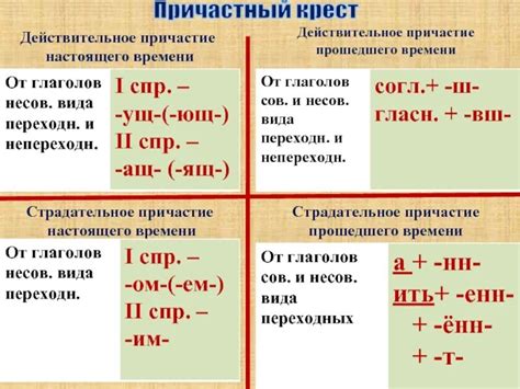 Грамматические особенности краткого страдательного причастия