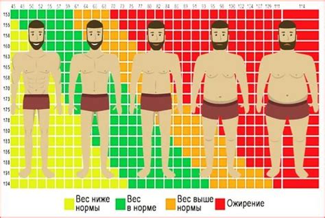 Грибы как символ роста и развития для мужчин