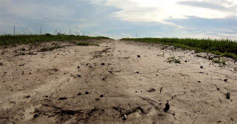 Грунтовая тропа во сне: перспективы и возможности