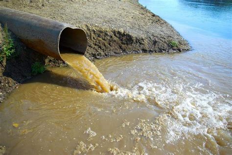 Грязная вода в соннике: тайные символы и смыслы