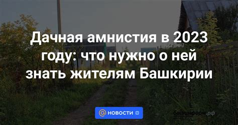 Дачная амнистия 2023: все, что нужно знать