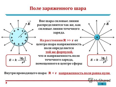 Движение листочков к положительному и отрицательному зарядам