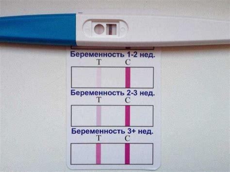 День, когда можно сделать точный тест