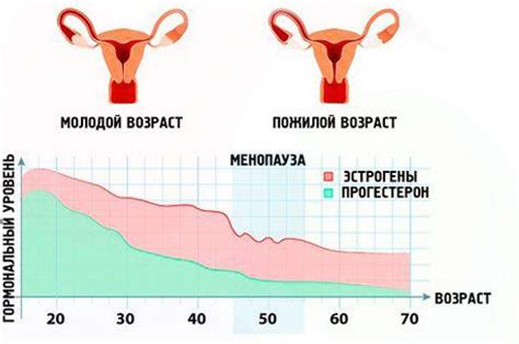 Диагностика и контроль эндометрия в менопаузе