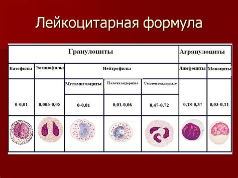 Диагностика пролимфоцитов в крови у ребенка