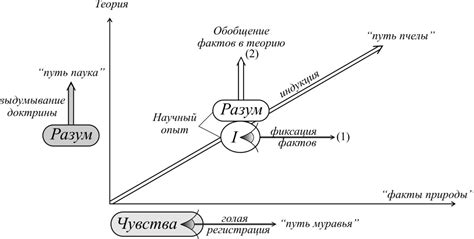 Диалектика и эмпирическое мышление