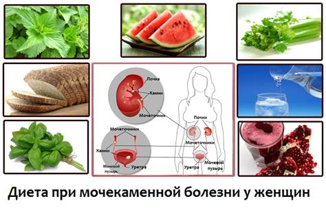 Диета для лечения мочекаменной болезни у женщин