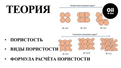 Динамическая пористость в медицине