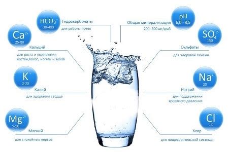 Для чего нужна кипяченая и фильтрованная вода?