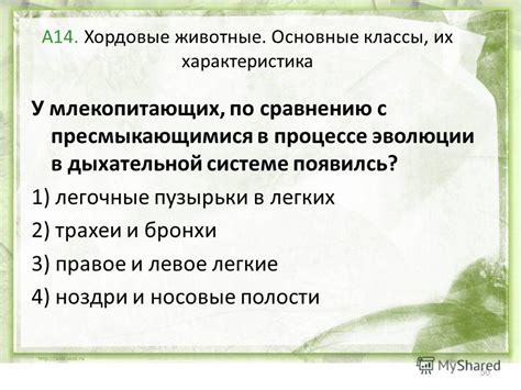 Дополнительные аспекты сновидений с пресмыкающимися в акватической среде у необремененных брачными узами молодых особей женского пола