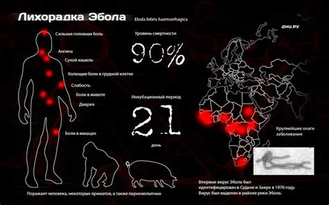 Дополнительные смертельные меры: голод и болезни