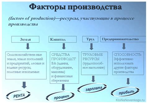 Дополнительные факторы производства