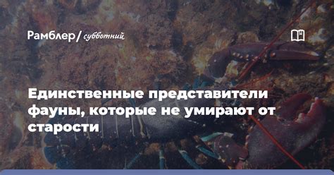 Единственные представители