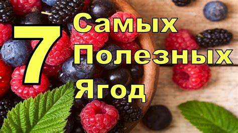 Ежедневное употребление ягод для организма: 8 полезных свойств