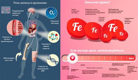 Железодефицитная анемия и пот с запахом металла