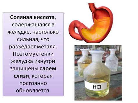 Железо и соляная кислота: что происходит?