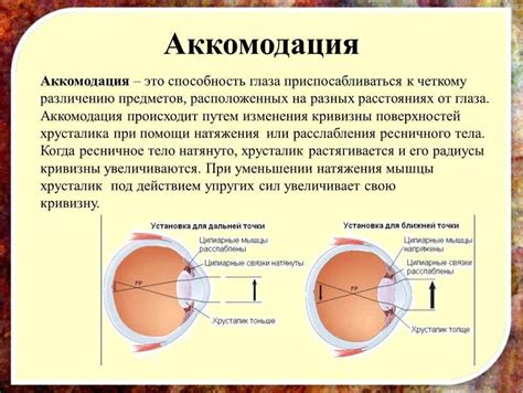 Заболевания органов зрения и нервной системы