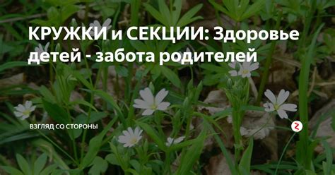 Забота и защита со стороны живых родителей в сновидении: возможные интерпретации