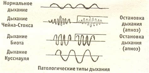 Зависимость частоты и глубины дыхания