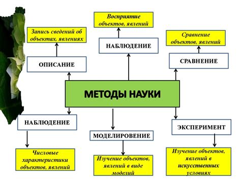 Загадки природы: научные предположения об окончании мира и стихийном воздействии