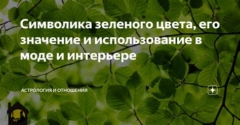 Загадочная символика зеленого наряда: анализ и разгадка