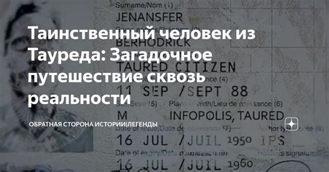 Загадочное путешествие в таинственный мрак ночи