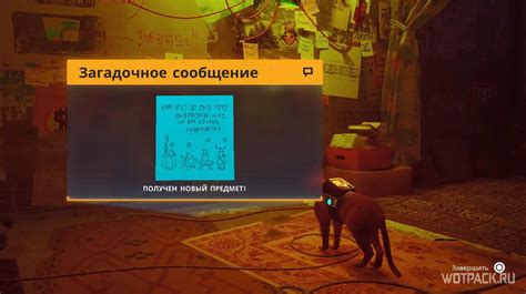 Загадочное сообщение от предыдущего товарища: о чем оно могло свидетельствовать?