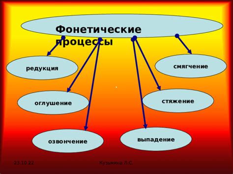 Загадочные фонетические особенности: смягчение и твердость