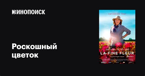 Загадочный протагонист: роскошный цветок в мире мечтаний