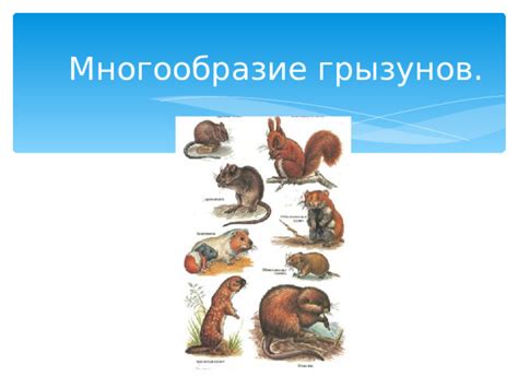 Заголовок 1: Значение маленьких темных грызунов в ночных видениях женщины