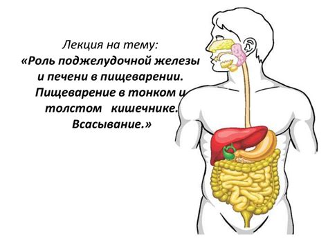 Задержка в пищеварении