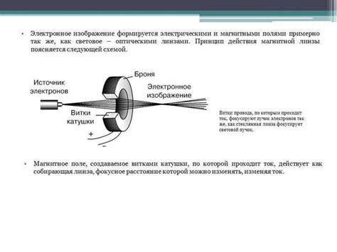 Зажим в микроскопе: определение и применение