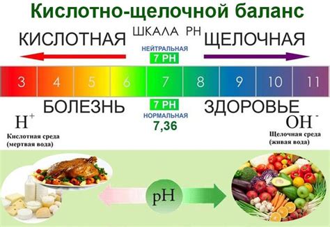 Закисление или кислотность организма