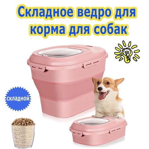 Замена сухого корма