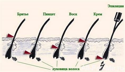 Зачем брить волосы против их роста?