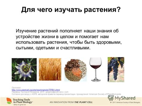 Зачем детям изучать растения?